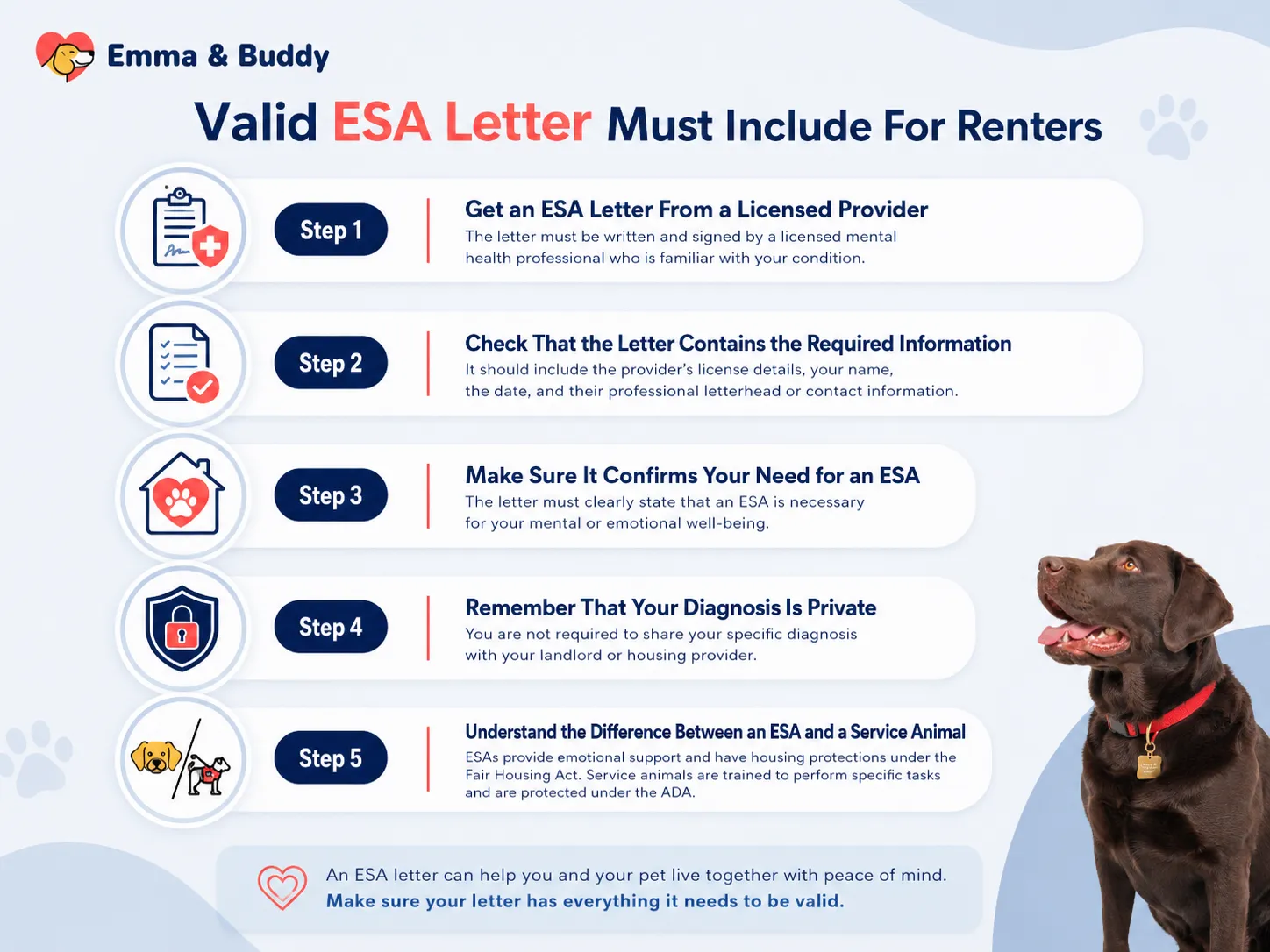 Valid ESA Letter Must Include For Renters