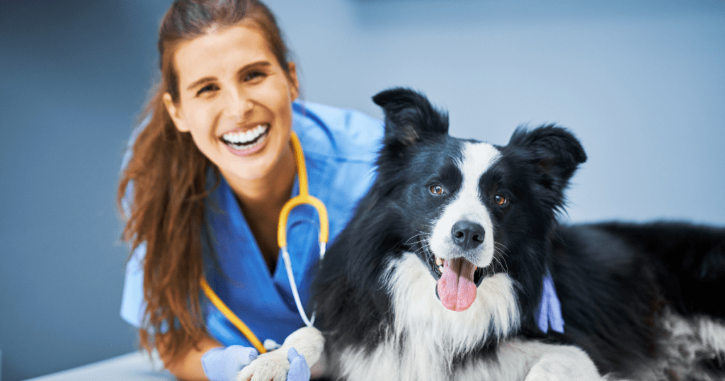 Veterinary Cost ESA 2025: Annual Costs, Savings + Tips