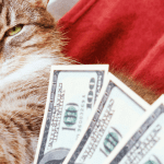 Cost of Emotional Support Animal: How Much in 2025?