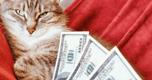 Cost of Emotional Support Animal: How Much in 2025?