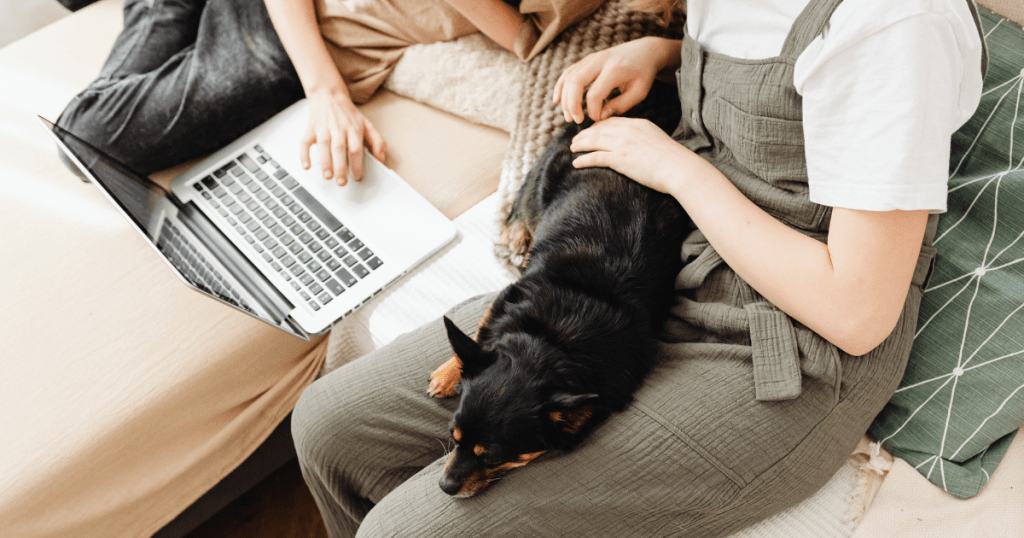 Before You Book: The Research & Planning Stage