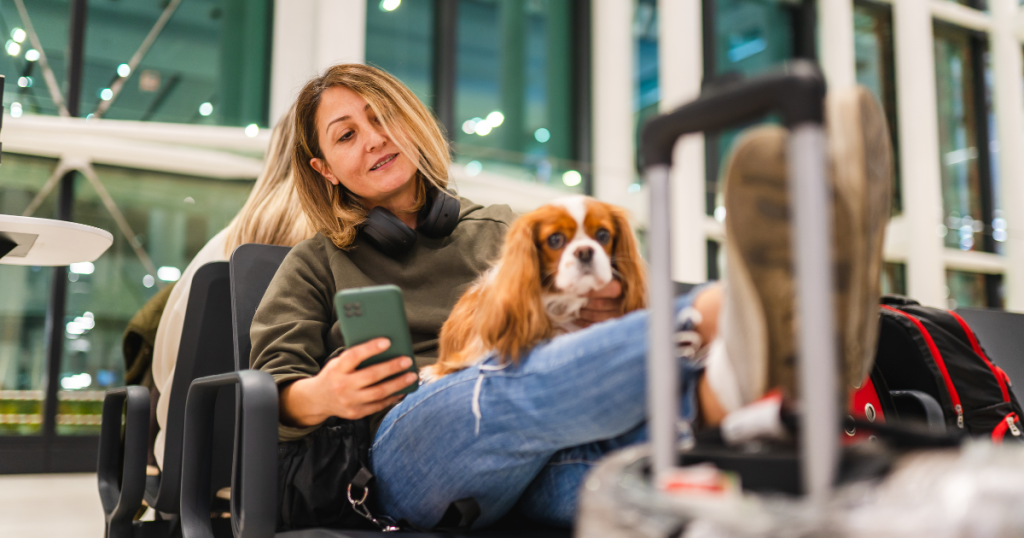 Traveling with an ESA Internationally: 2025 Airline & Country Rules